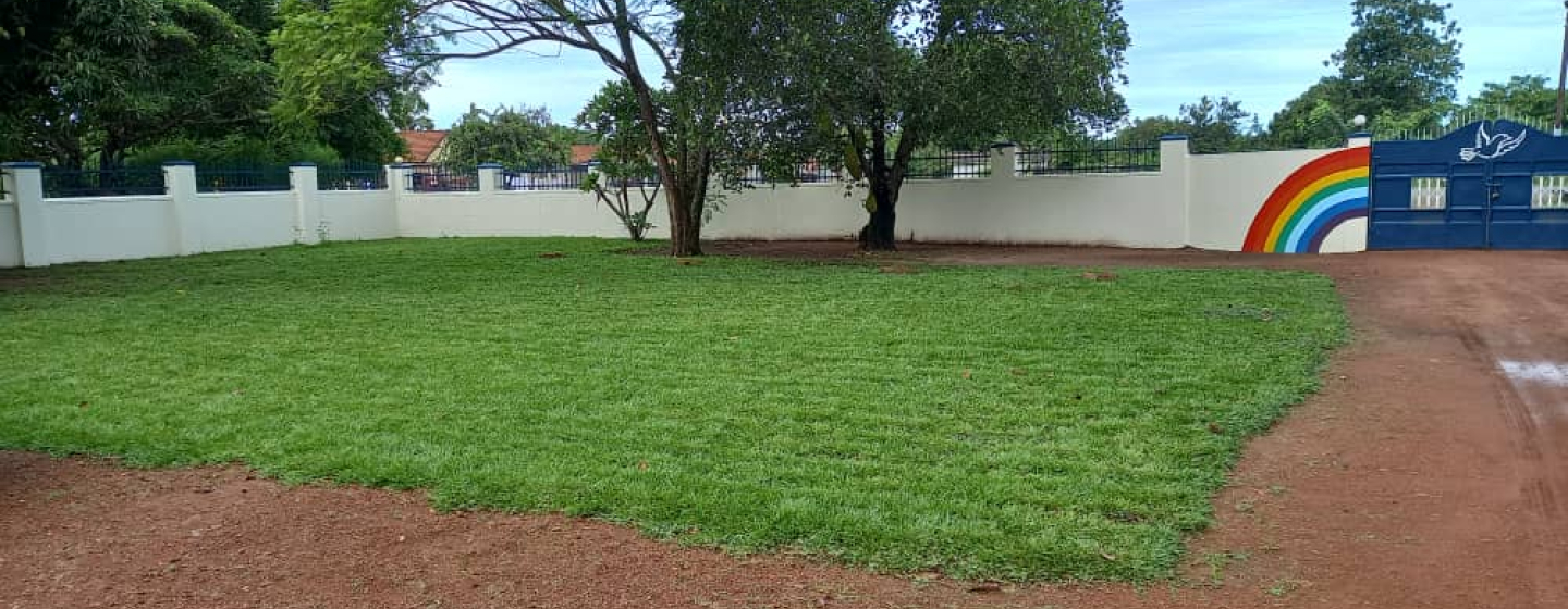 Gras Amecet